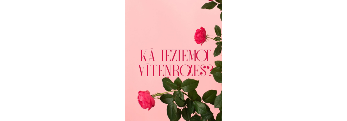 Kā ieziemot vīteņrozes?